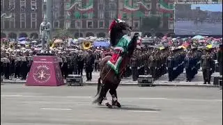 Caballo de la Asociaci&oacute;n Nacional de Charros en el desfile militar del 16 de Septiembre 2023 M&eacute;xico