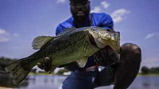 Bass fishing MUNCH FEST thanks to the BASSFORECAST APP