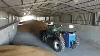 Wheat harvest 2023 stockpiling with UTB + NH LM 7.35