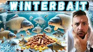 Winter Karpervissen? Deze Mix Is Alles Wat Je Nodig Hebt! | Carpmission | How To