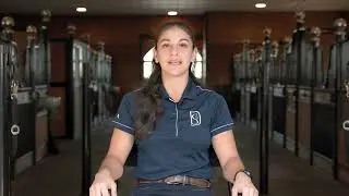 AlphaTex Equestrian Footing