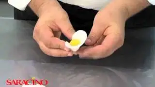 saracino pasta model
