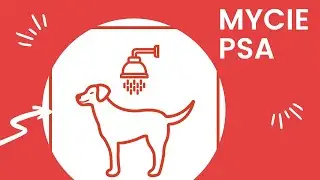 Mycie psa