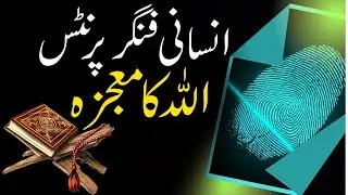 Human Fingerprint & God | Quran and Modern Science | Quran Miracle | Scientific Miracles in Quran