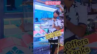 Huge Discount on Fish Tanks | New Year Special Offers