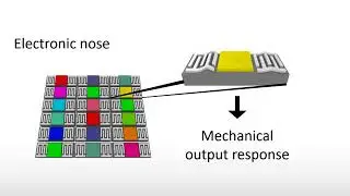 2018 PInCh: Health-E-Nose WilmerLab