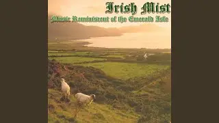 Irish Mist