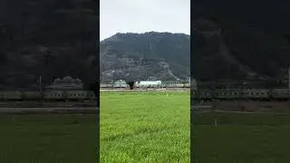 Japanese freight train near azuchi castle ruins. #train #railway #railroad #trainspotting
