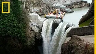 Rehabilitaci&oacute;n del R&iacute;o ELWHA, tras la eliminaci&oacute;n de la PRESA m&aacute;s grande de USA | NatGeo en Espa&ntilde;ol