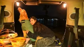 [318] Автомобильный кемпинг с собакой, покрытой экскрементами и морским песком.