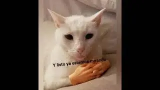 Tutorial de c&oacute;mo mirar #memes #gatos #humor #edit #music #tutorial #shorts #viral #videomemes