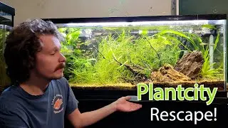 Rescaping Plantcity + Amazon Sword Update