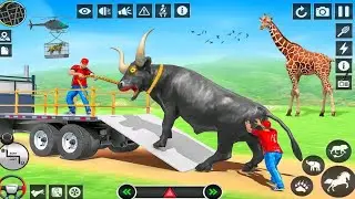 Animal Transport Game Animal Game Video