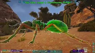Ark Omega Zero To Hero Day 8