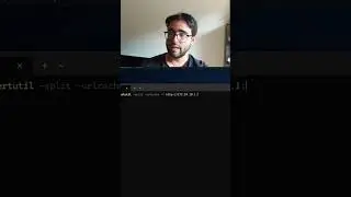 Como usar CERTUTIL para COMPARTIR ARCHIVOS con WINDOWS #SHORTS