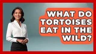What Do Tortoises Eat In The Wild? - Reptilian Wonders