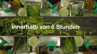 Produktionsprozess der Forever Aloe Getr&auml;nke