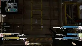 awp shot