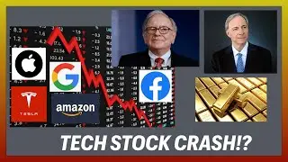 The Tech Stock Crash and How You Can Prepare