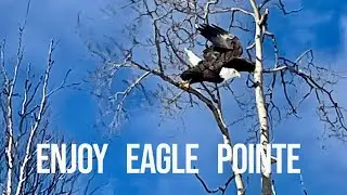 Eagle Pointe Alaska Hillside Home Now Only $774,500
