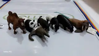 Collecta unboxing Animals _ Gift 🎁 of Friend 😍