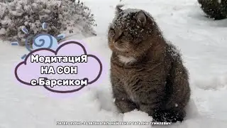 🕊️ Медитация на СОН от БАРСИКА и ТАНИ