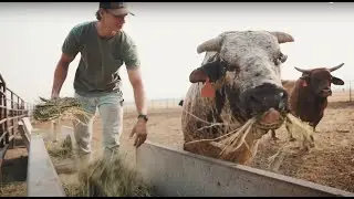 Jonah Prill - Cowboy $hit (Official Music Video)