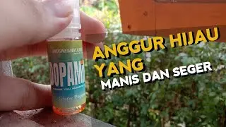 REVIEW DOPAMINE GRAPE POPPER | Honest Review 