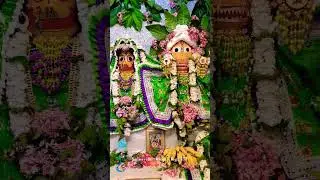 Nirsimha Chaturdashi~2024🥰❣️#loveforkrishna #iskconfestival #iskonians #iskconmayapur #iskcon