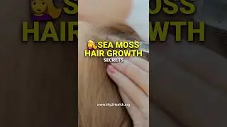 Sea Moss Hair Growth Secrets #Shorts