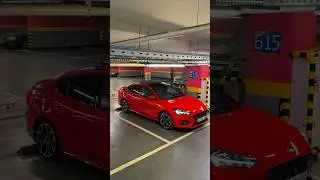Фокус 4 | Тут про тачки и Московский движ