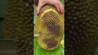 Unboking Jack Fruit #jackfruit