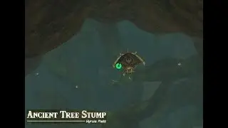 Ancient Tree Stump Cave: Legend of Zelda Tears of The Kingdom