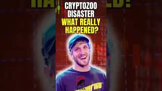 The Logan Paul Crypto Zoo Disaster &ndash; What Really Happened?
