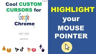 How to Highlight Mouse Pointer | Custom Cursor