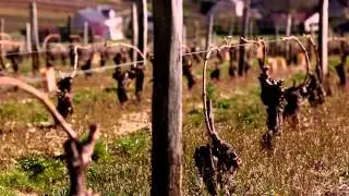 The Art of Food & Wine in Sancerre