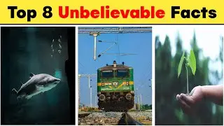 Top 8 Unbelievable Facts | Top 8 Unknown Facts | 8 सबसे गज़ब के तत्थेये | #shorts #facts #trending