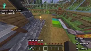 Minecraft relaxed night stream