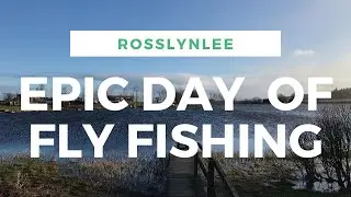 EPIC Day Trout Fly Fishing Before LOCKDOWN