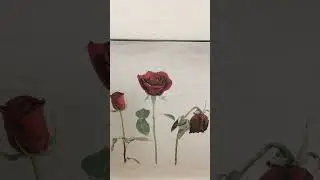 Muertos vivientes 