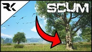 Scum - I Betcha Didn't KNOW This! Unlimited Sources Of Food! #survival