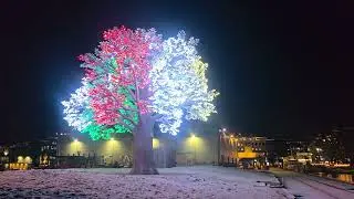 🌳 The Oslo Tree &ndash; 15,000 Glowing Leaves ✨#OsloTree #LightUpOslo#VisitOslo #Norway #Norge#WinterMagic