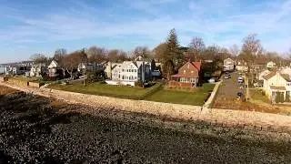 A morning flight at Woodruff St. seawall