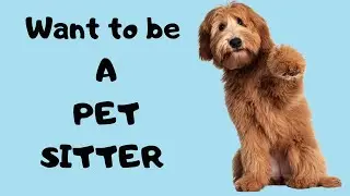 Wanting to be a pet sitter/pet sitting