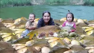 Catch the Giant Fish school by plan to dry up the stream of Ms. Duong's family | Village Life
