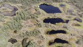 Viru Bog by drone, Estonia