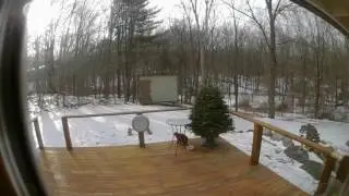 C2 Deck 20170130 141927