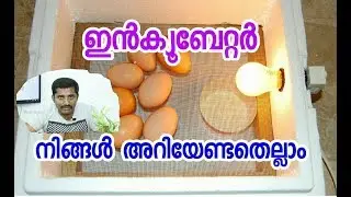 ഇൻക്യൂബേറ്റർ  ഉണ്ടാക്കാന്‍ അറിയില്ല എന്ന് ആരും പറയരുത് #eco own# Incubator A-Z malayalam