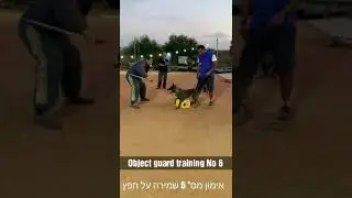 First steps Object guard Training?- mondioring Israel, skala @oz cohen first steps