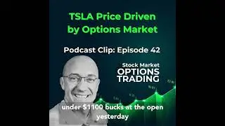 TSLA Stock Price Driven by Options Market with SpotGamma